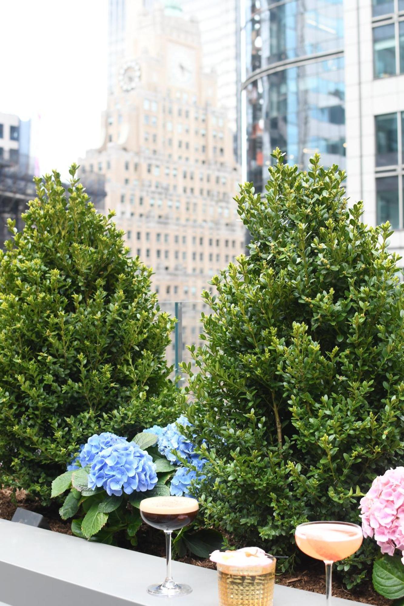 The Knickerbocker Hotel New York Luaran gambar 'Green Mountain'